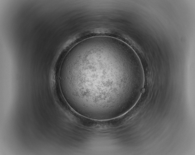 X0000114530727200910191321