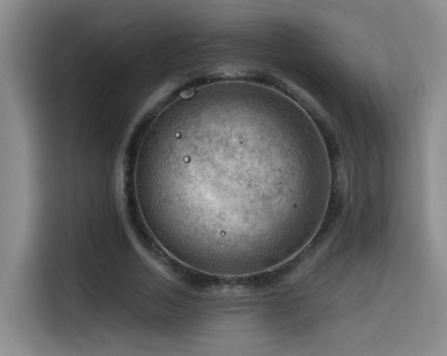 X0000114530730200910191321