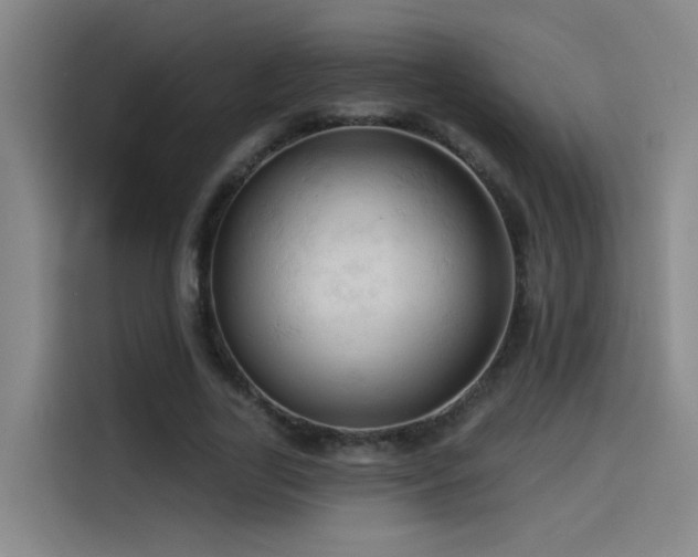 X0000114530731200910191321