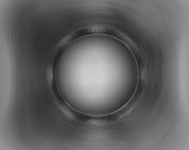 X0000114530733200910191321
