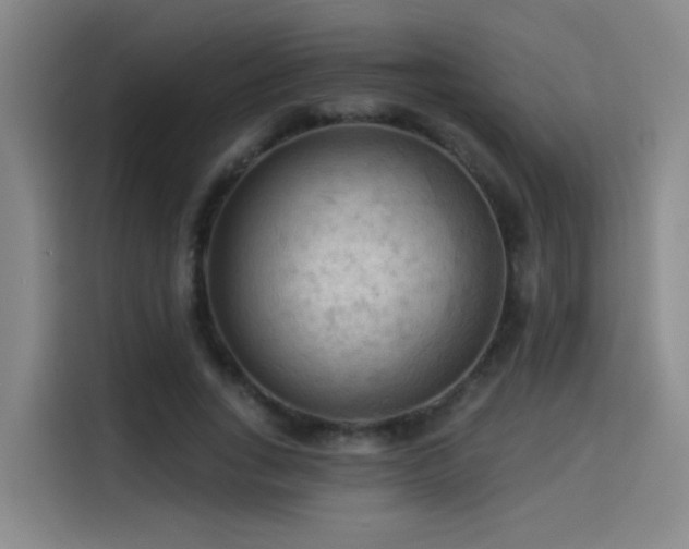 X0000114530735200910191321