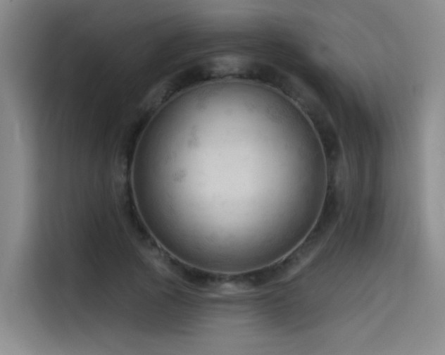 X0000114530737200910191321