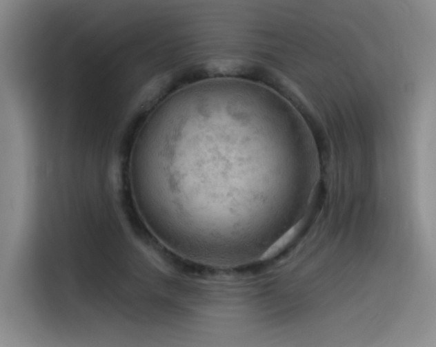 X0000114530738200910191321