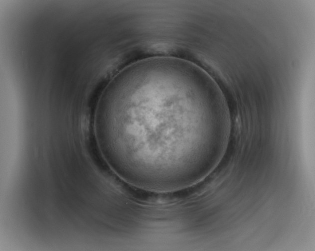 X0000114530739200910191321