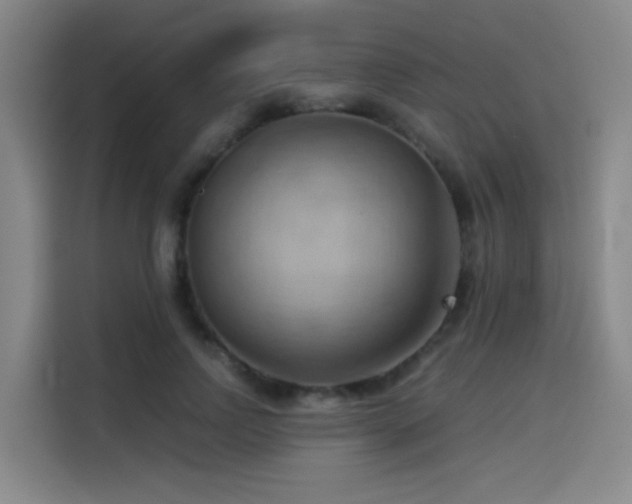 X0000114530742200910191321