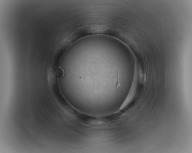 X0000114530743200910191321