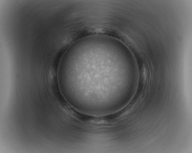 X0000114530747200910191321