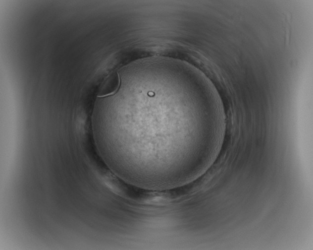 X0000114530750200910191321