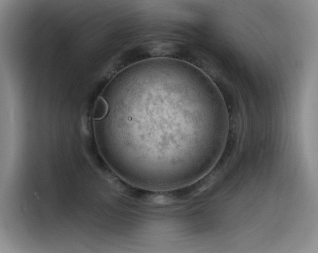 X0000114530755200910191321