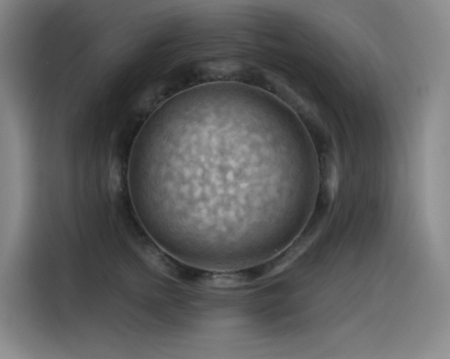 X0000114530758200910191321