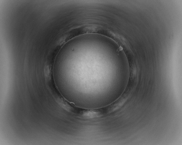 X0000114530759200910191322