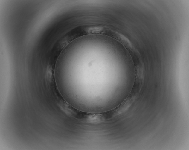 X0000114530761200910191322