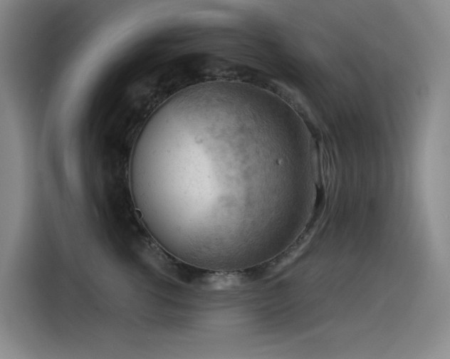 X0000114530762200910191322