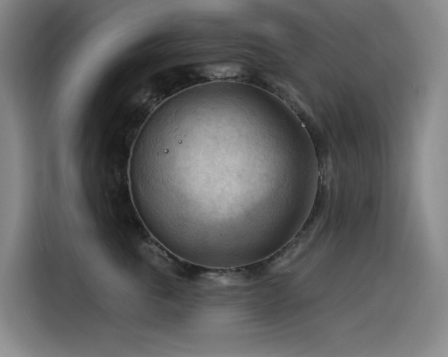 X0000114530763200910191322