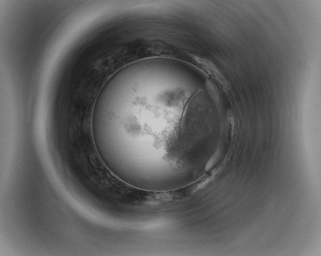 X0000114530765200910191322
