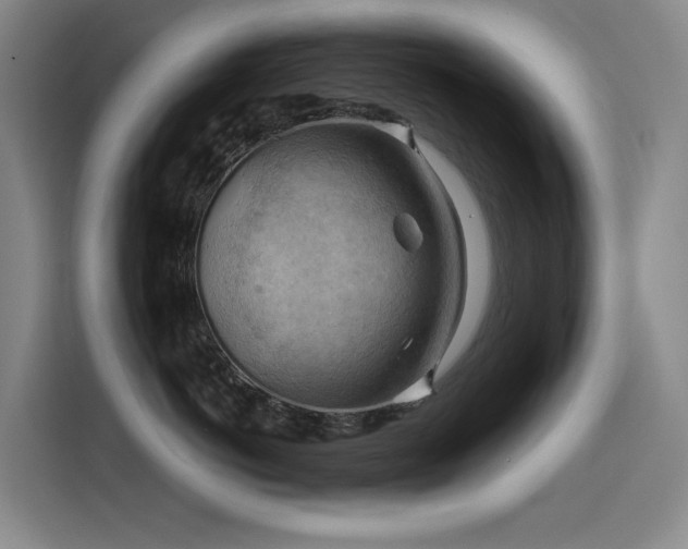 X0000114530766200910191322