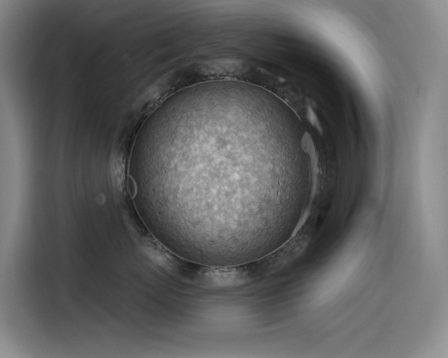 X0000114530767200910191322
