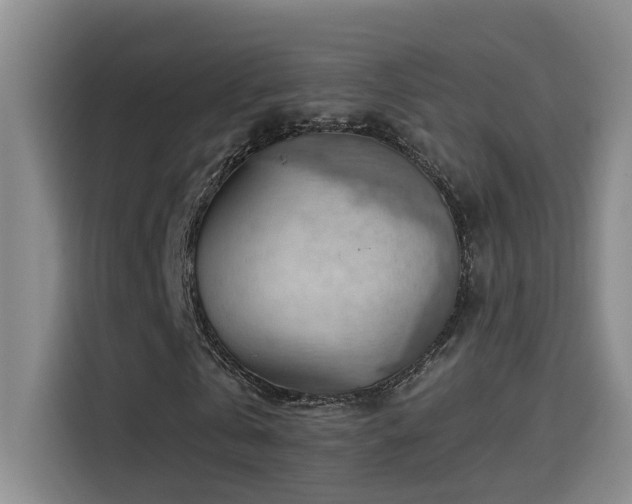 X0000114530769200910191321