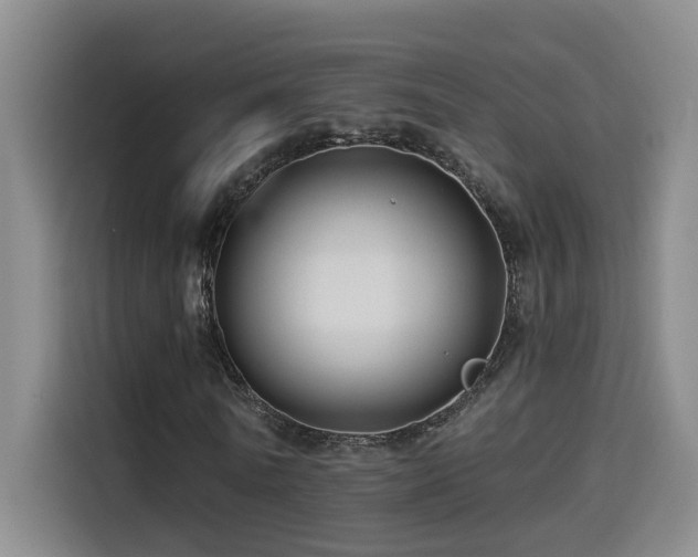 X0000114530770200910191321
