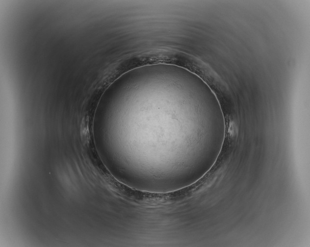 X0000114530771200910191321