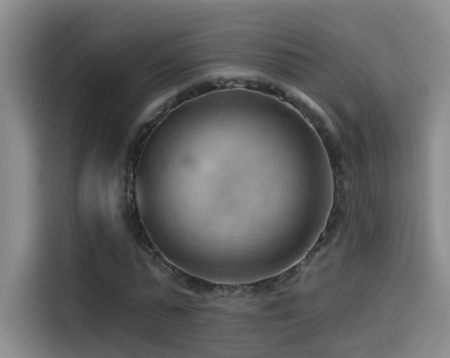 X0000114530775200910191321