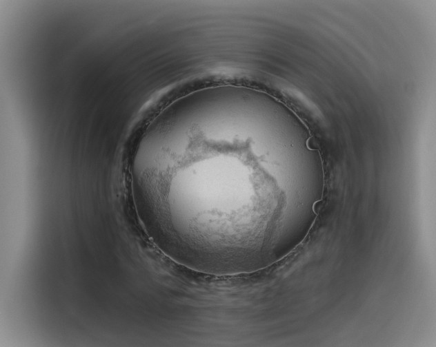 X0000114530776200910191321