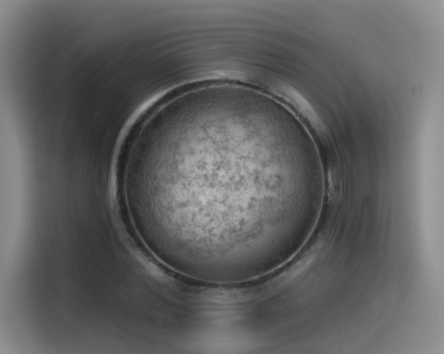 X0000114530780200910191321