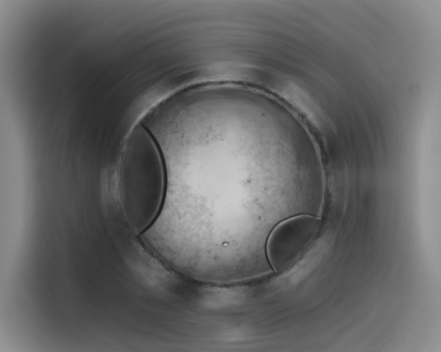 X0000114530781200910191321