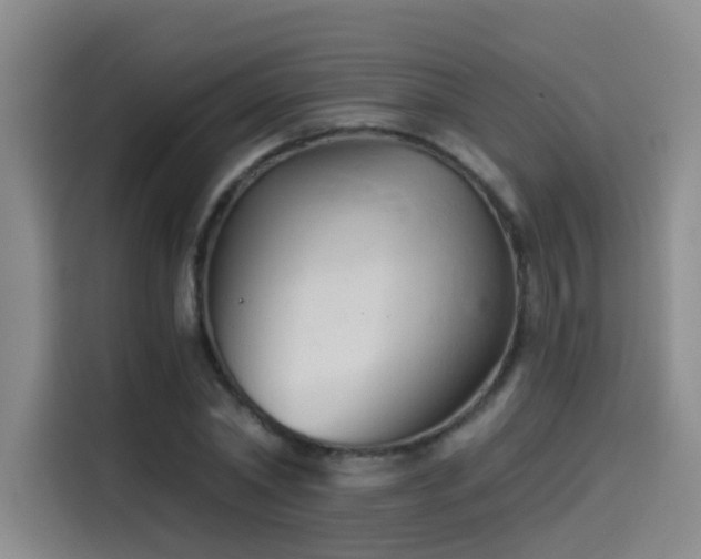 X0000114530782200910191321