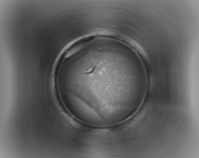 X0000114530784200910191321
