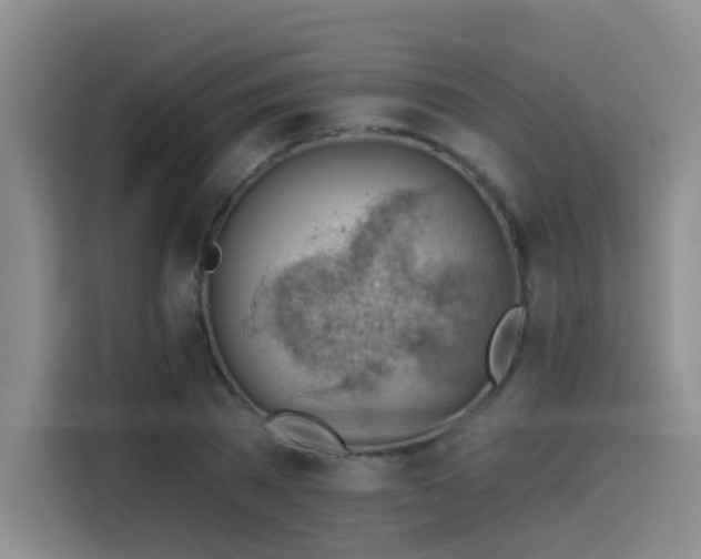 X0000114530785200910191321