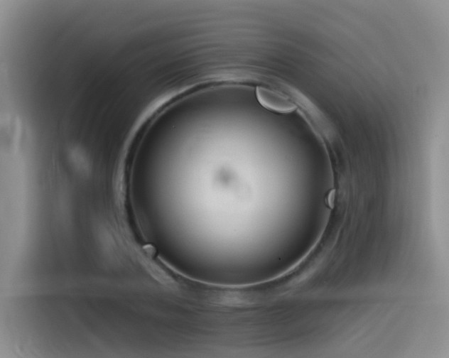 X0000114530787200910191321