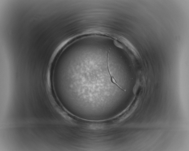 X0000114530788200910191321