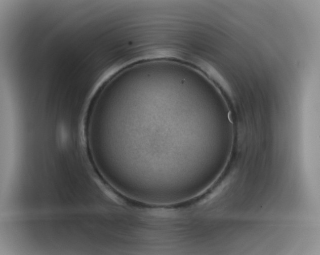X0000114530789200910191321