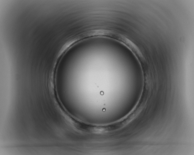 X0000114530794200910191321