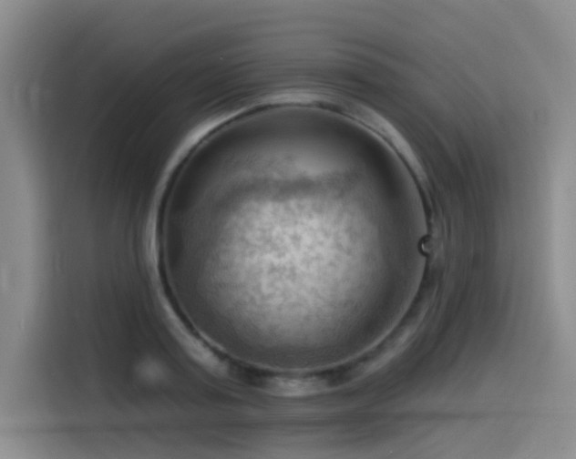 X0000114530795200910191321