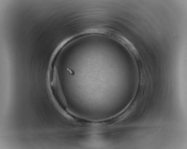 X0000114530796200910191321