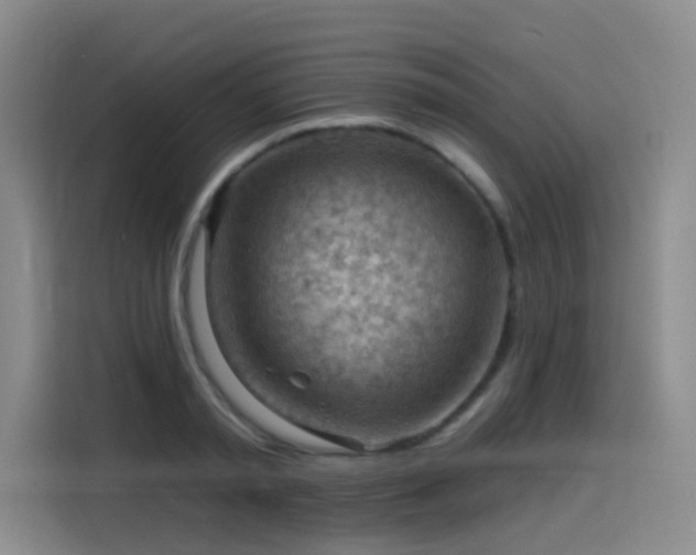 X0000114530797200910191321