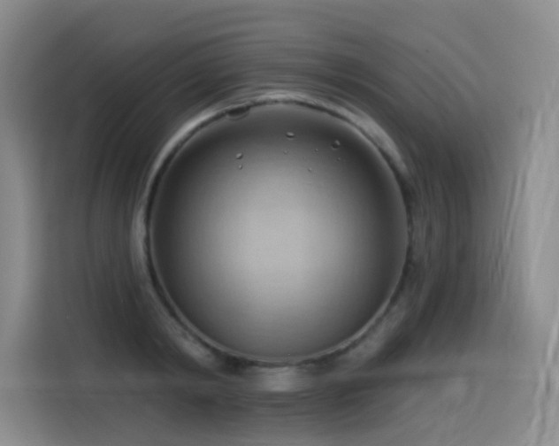 X0000114530798200910191321