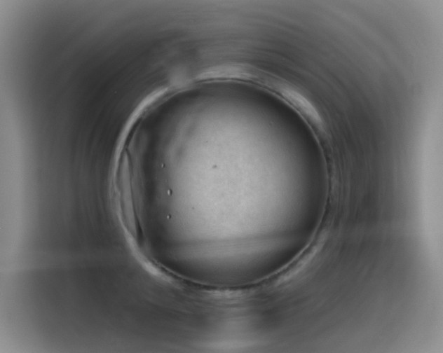 X0000114530800200910191321