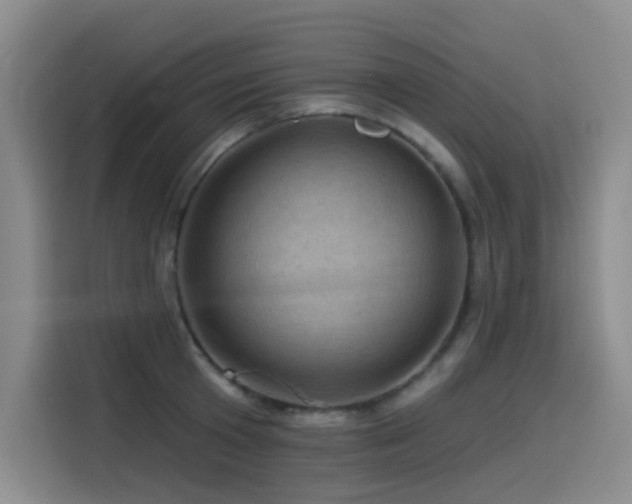 X0000114530801200910191321