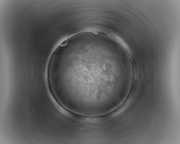 X0000114530803200910191321