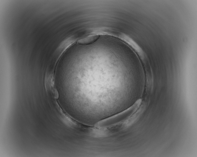 X0000114530809200910191320