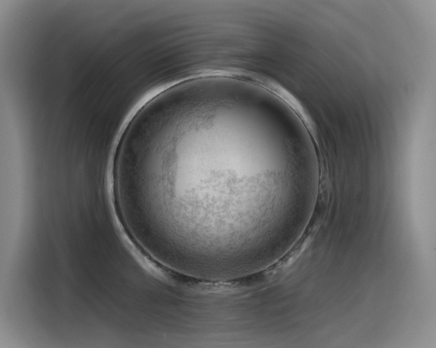 X0000114530811200910191320