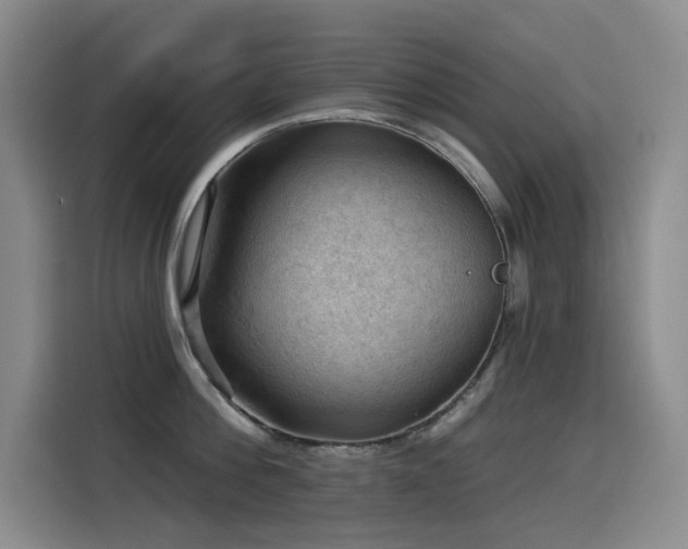 X0000114530812200910191320