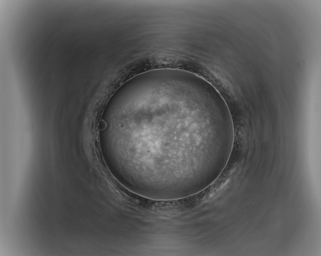 X0000114530817200910191320