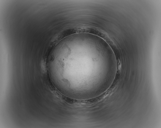 X0000114530819200910191320