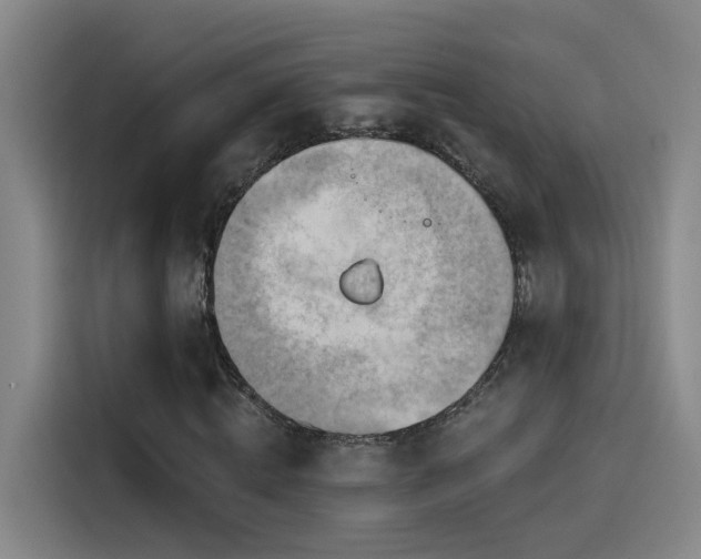 X0000114530820200910191320