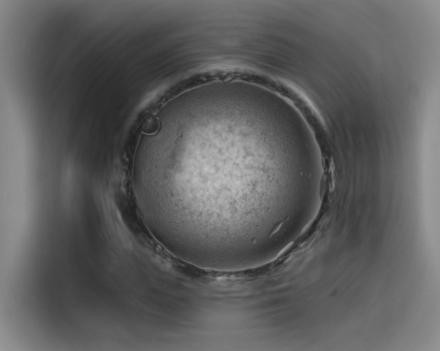 X0000114530823200910191320