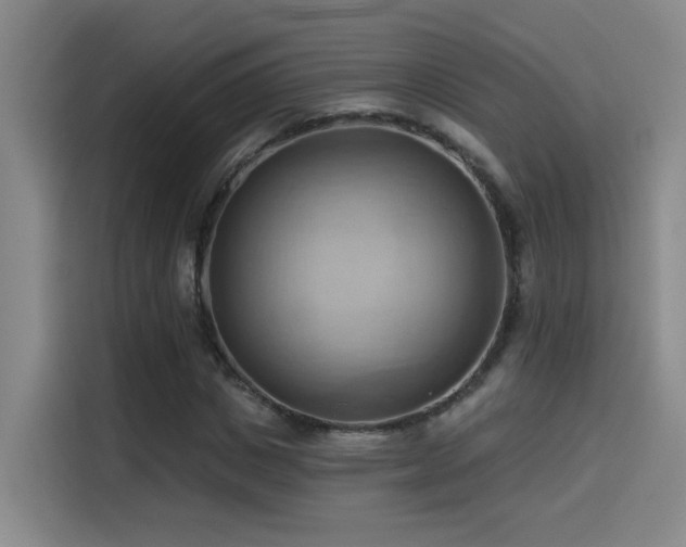 X0000114530825200910191320